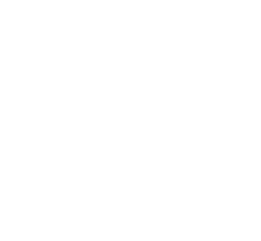 Black Pearl x Absolut